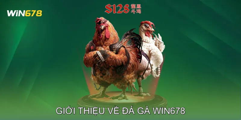 Giới thiệu về Đá gà Win678